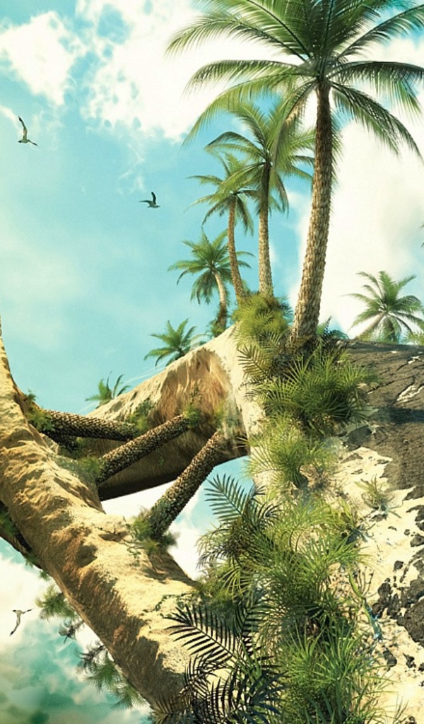 Веселая дорога