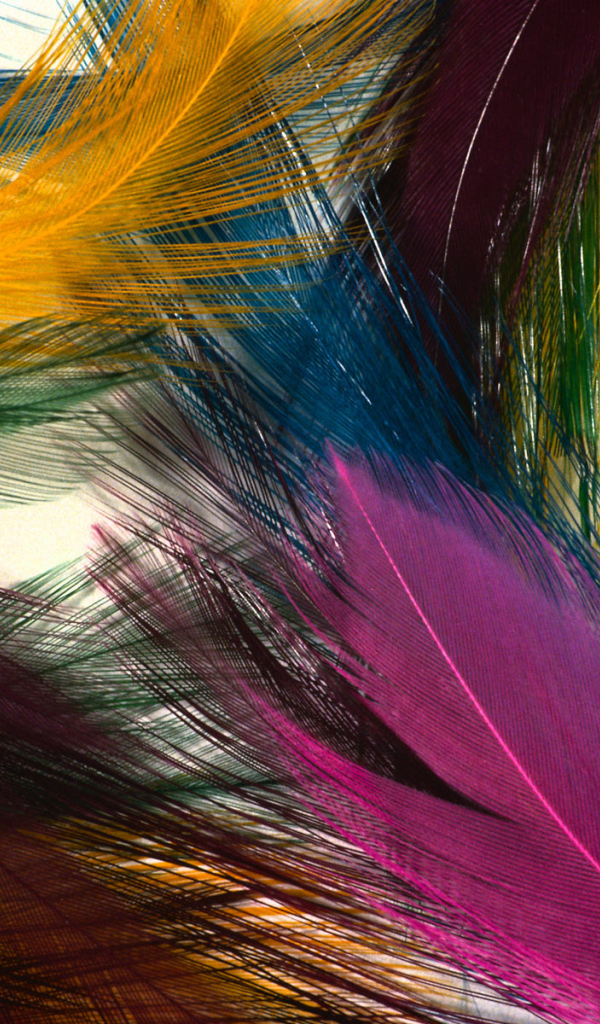 Разноцветные перья