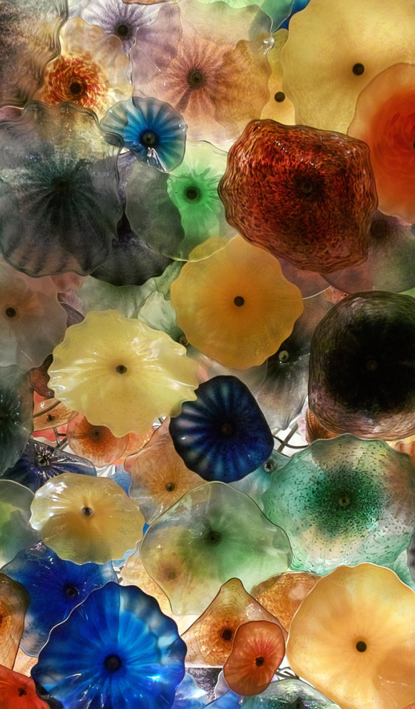 Разноцветные медузы