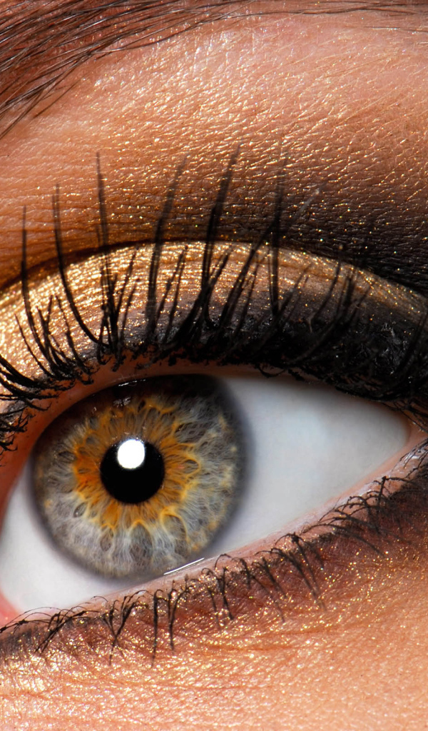 Наблюдатель