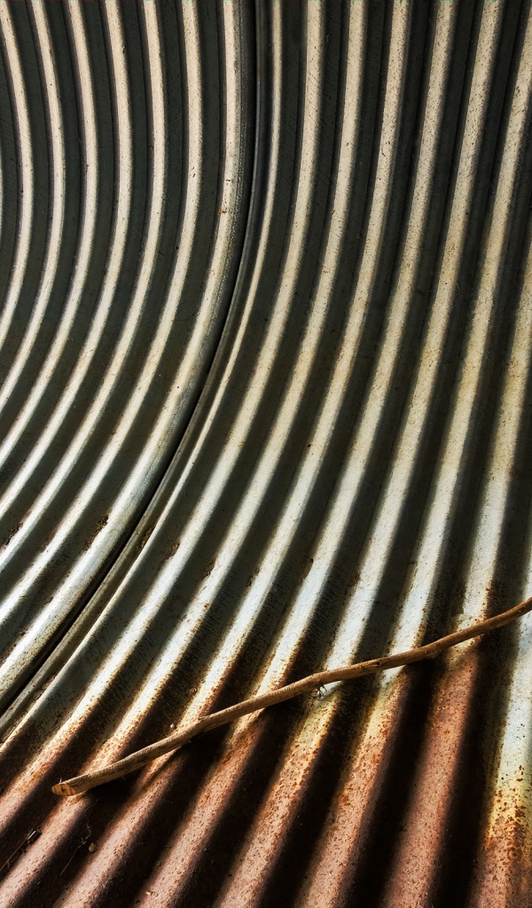 труба зебра