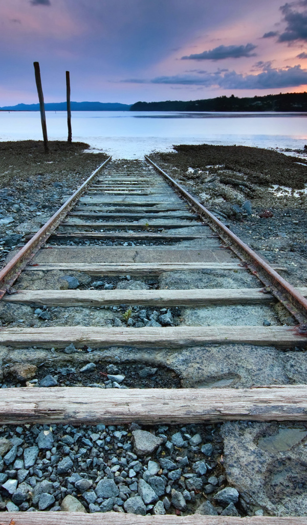 Дорога в никуда