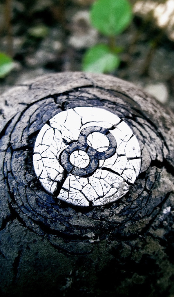 Опаленный шар