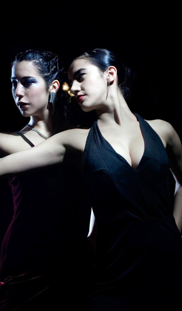 Светские львицы