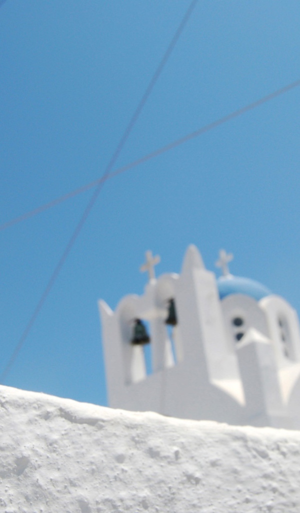 Паук на белой каменной стене