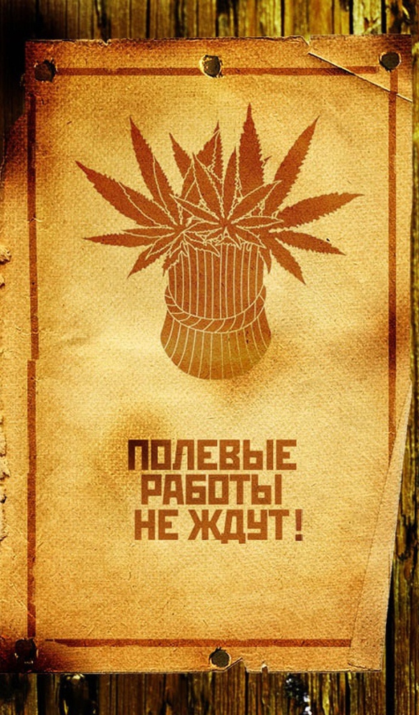 Сбор веселого урожая