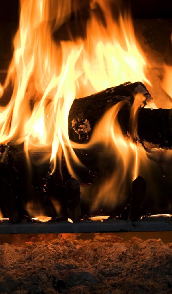 Огонь в камине