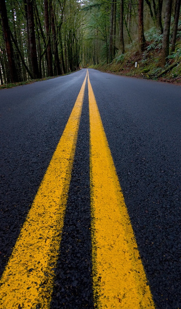 Сплошная линия