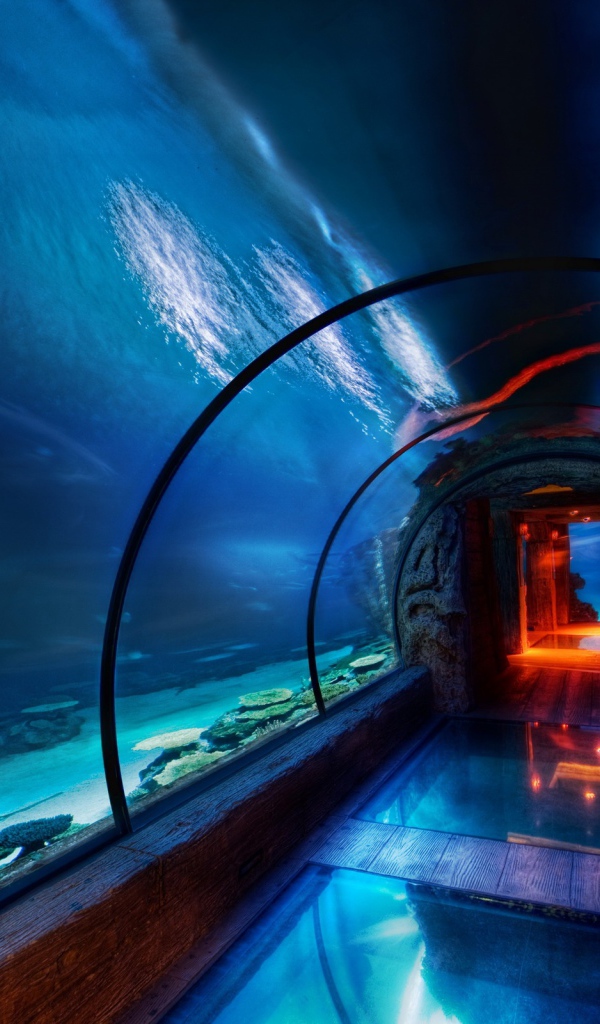 Подводный музей