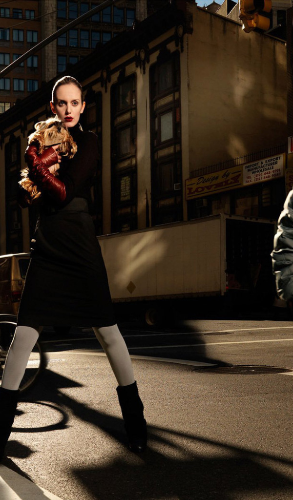 Городские цвета