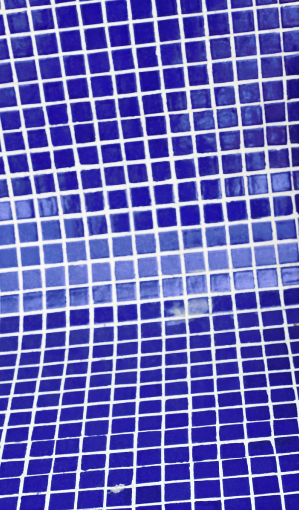 Зебра в бассейне