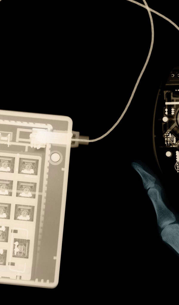 Рентген клавиатуры и мышки