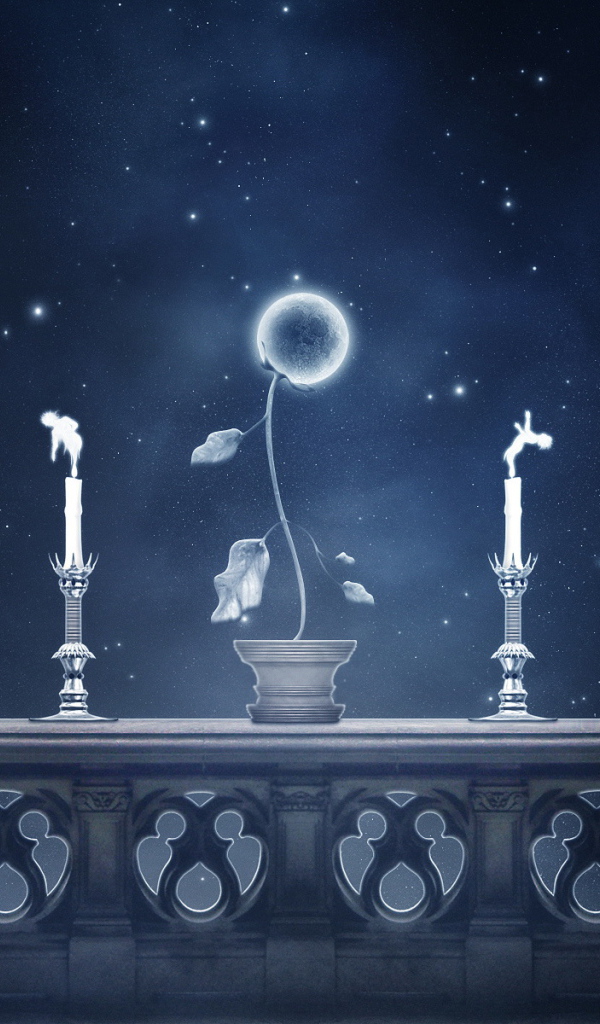 Небесные цветы