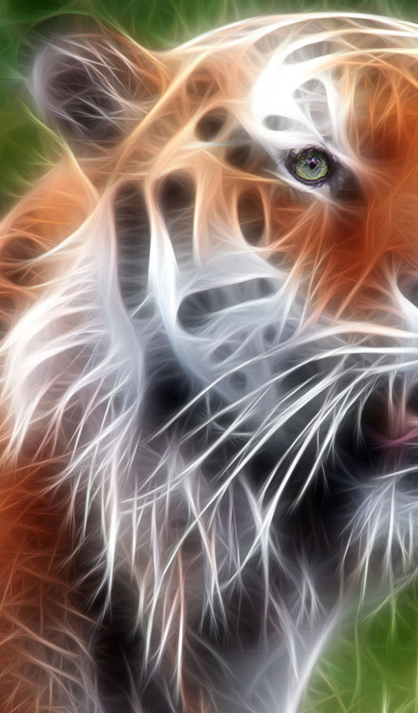 Красавец тигр