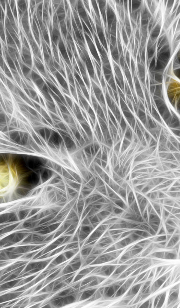 Кошачья мордочка