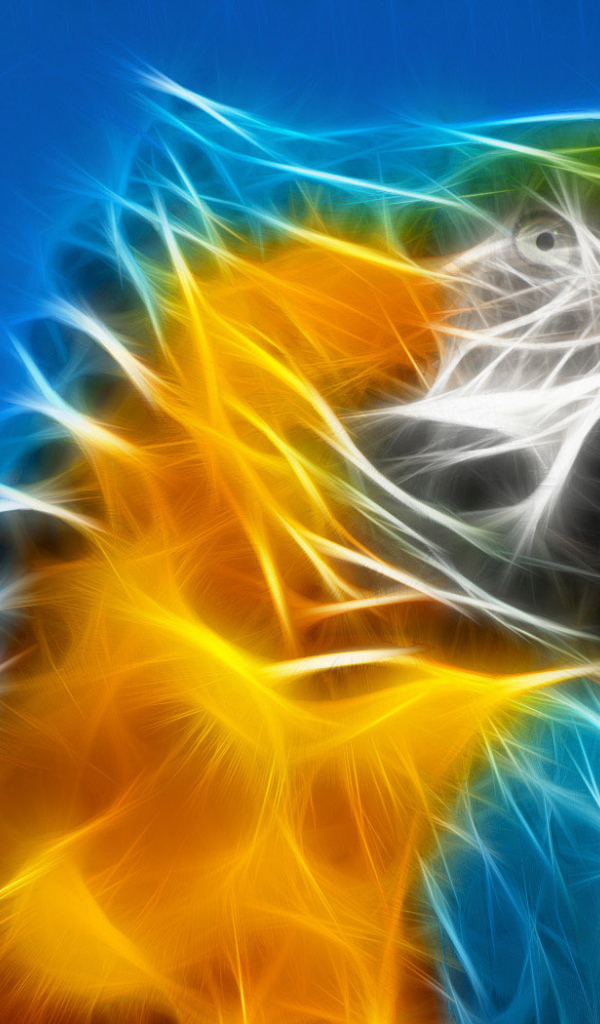 Разноцветный попугай