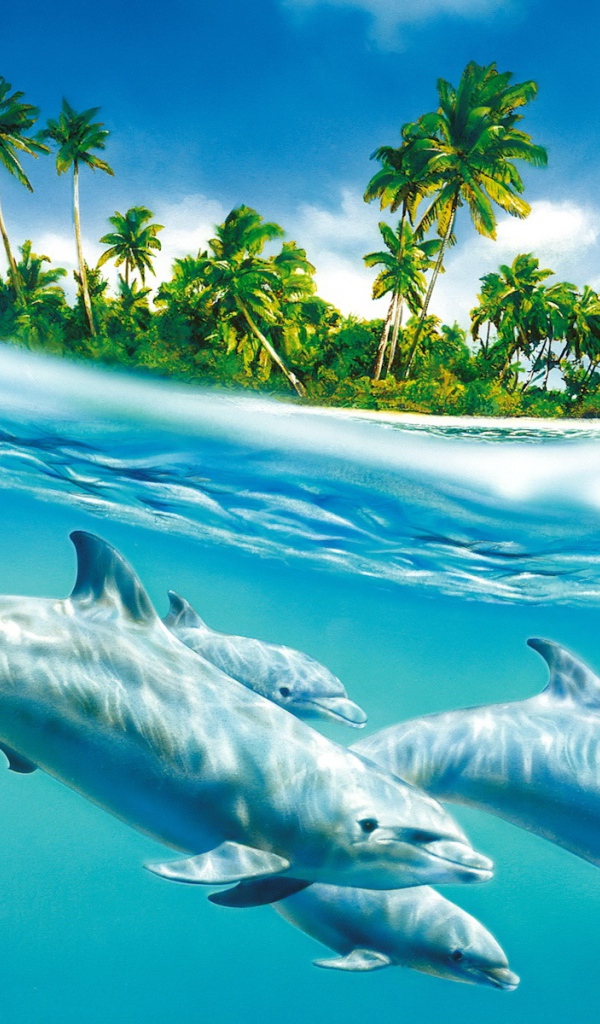 Семейство дельфинов