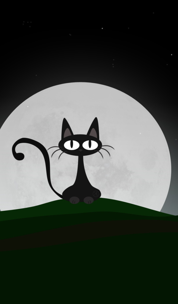 Ночная кошка