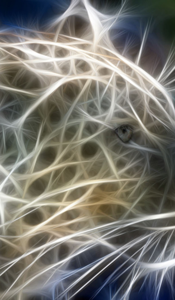 Хищная кошка