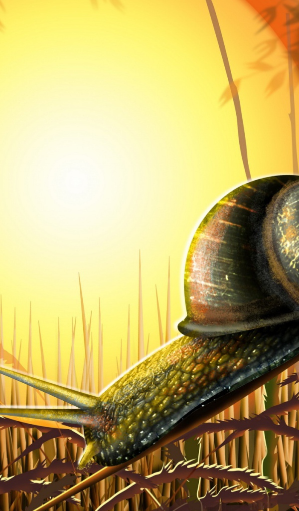 Улитка под солнцем