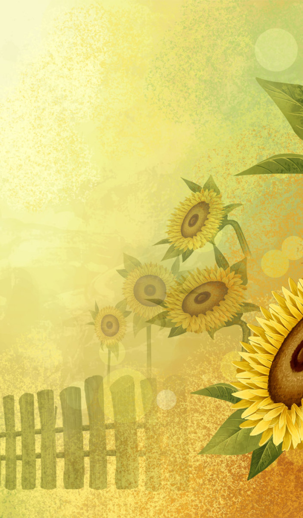 Цветы подсолнуха