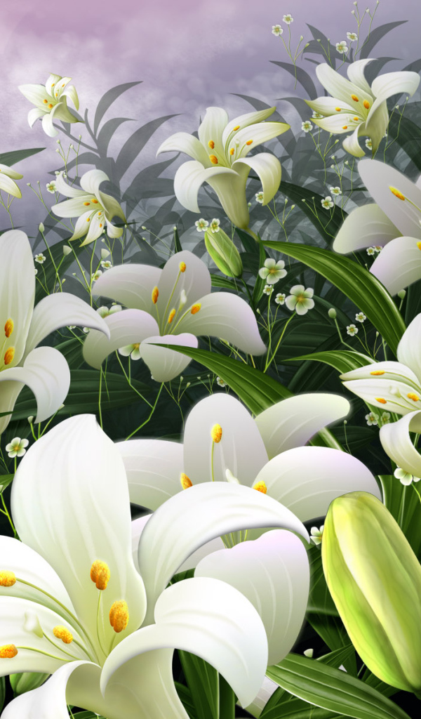 Поле белых цветов