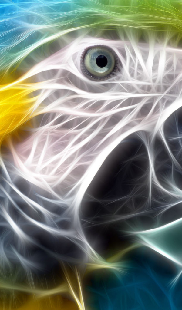 Тропический попугай