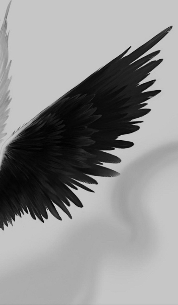 Крылья ангела