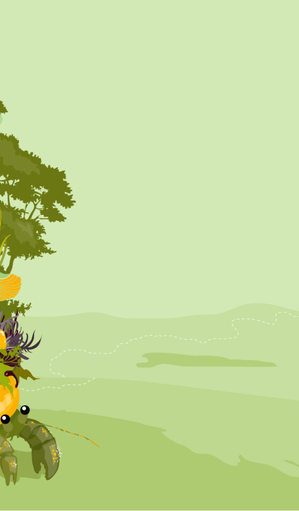 Грибы  на панцире