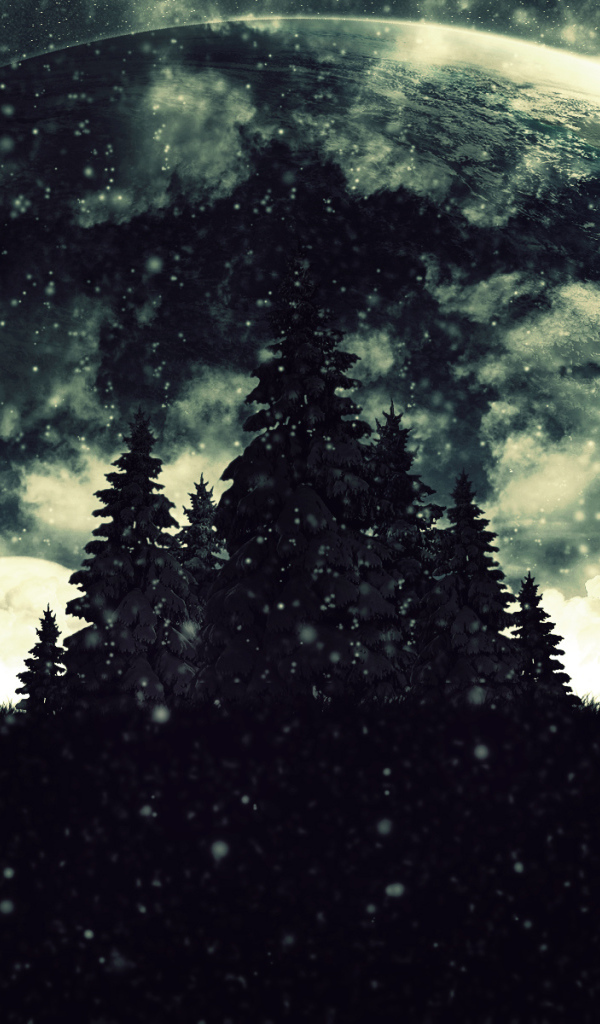 Фантастическое Рождество