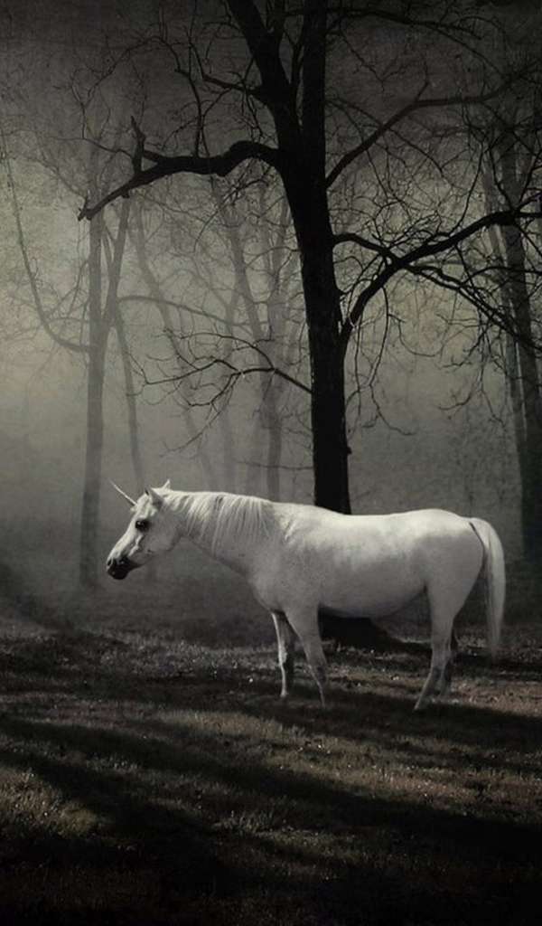 Сказочное животное