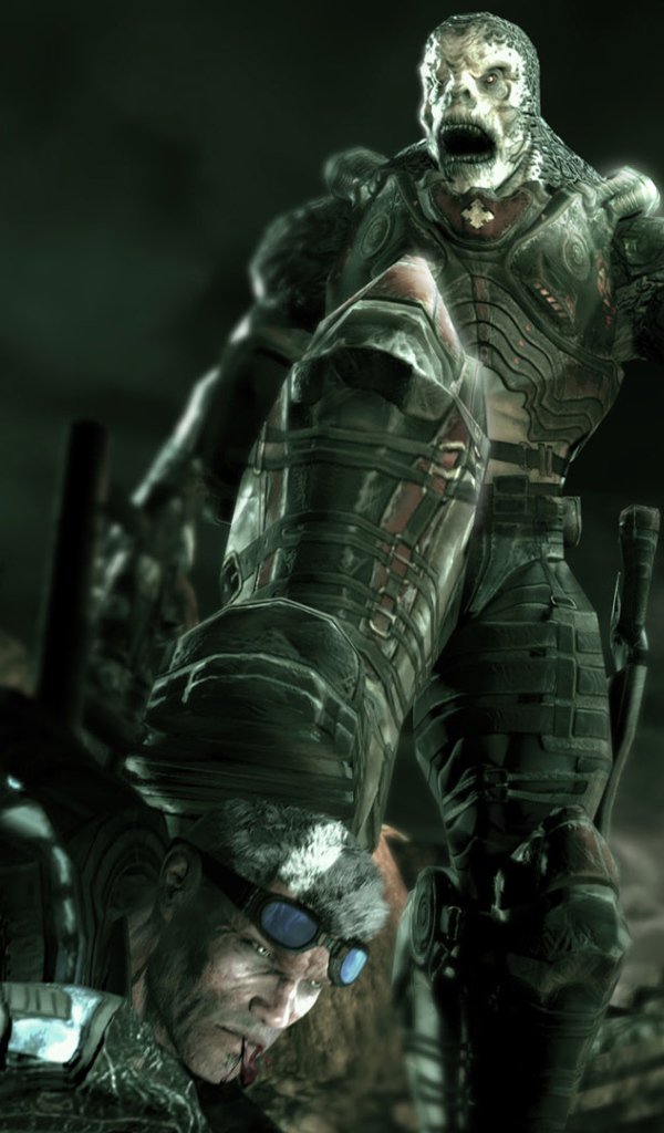 Грызи бордюр