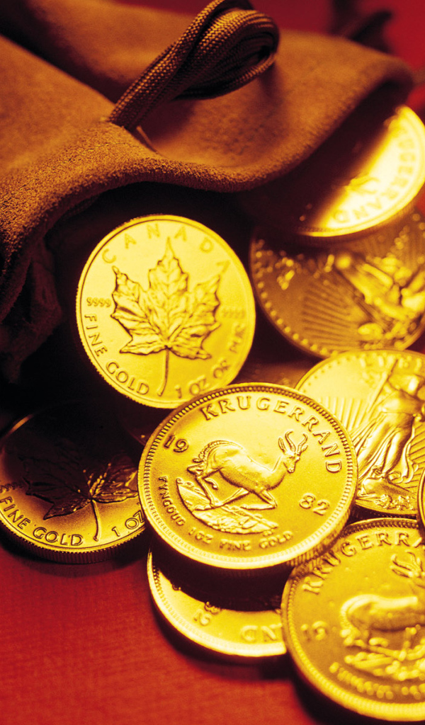 Мешочек с золотом