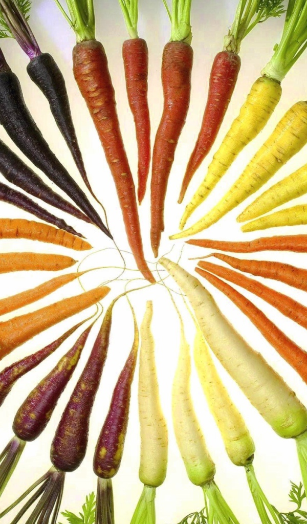 Цветная морковка