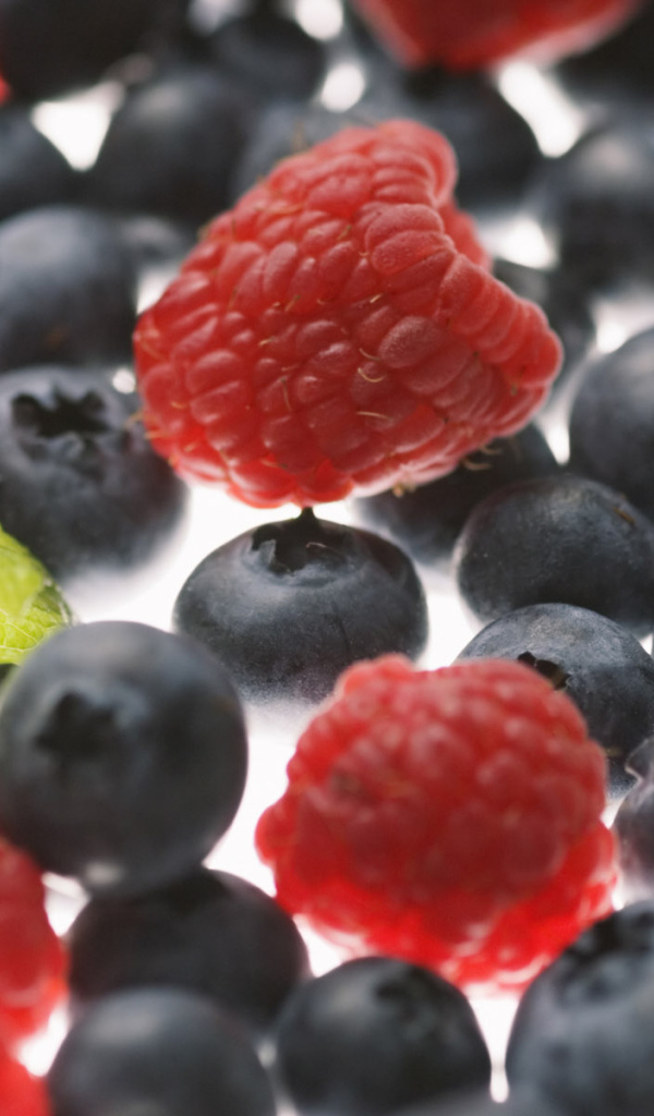 Лесные ягоды