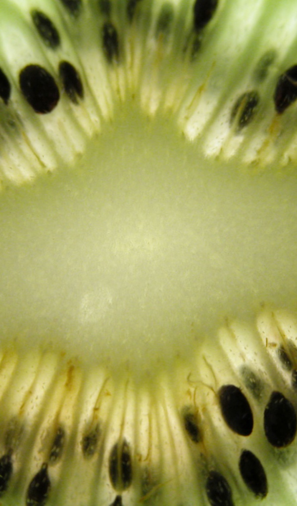 Мякоть киви