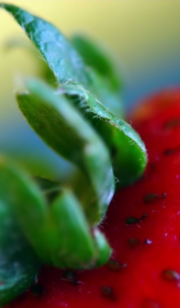 Вкусная клубника