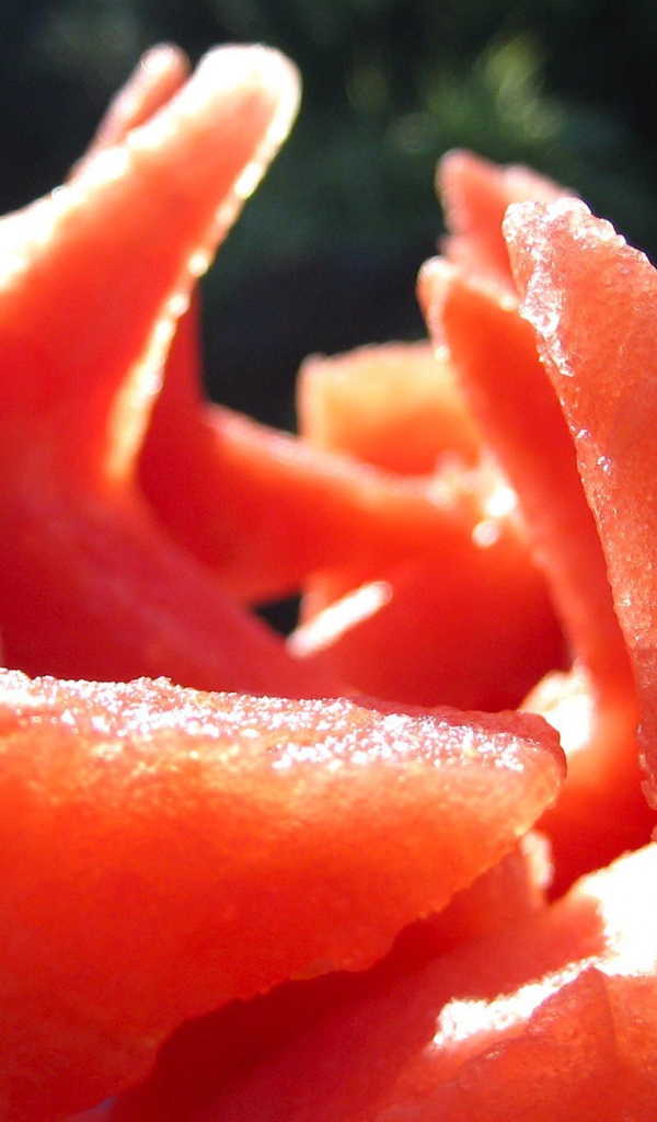 Звезды из арбуза