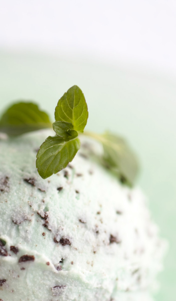 Мороженое с шоколадом