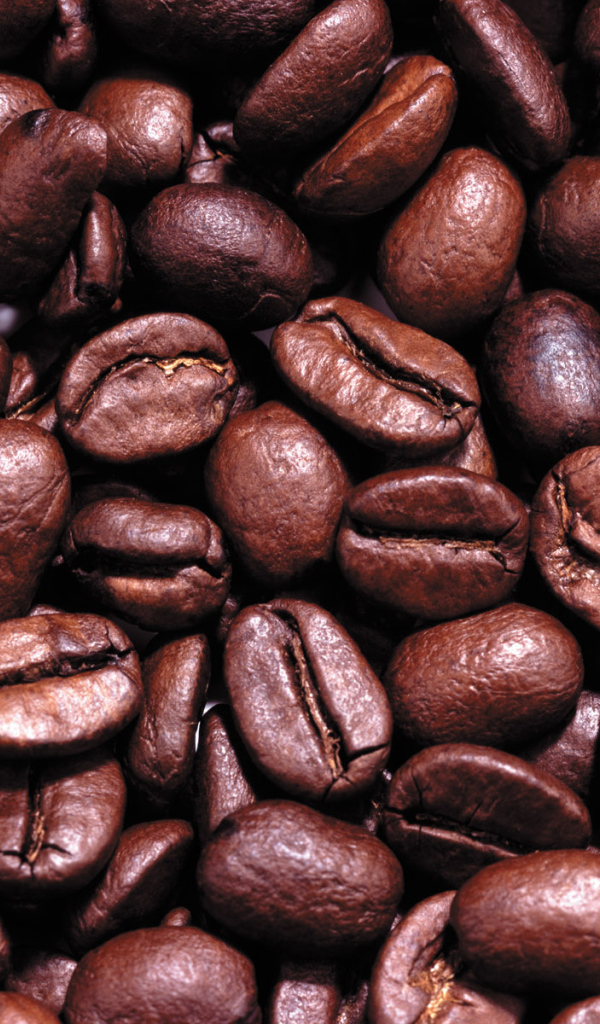 Кофейные зерна
