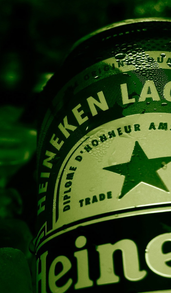 Холодное пиво