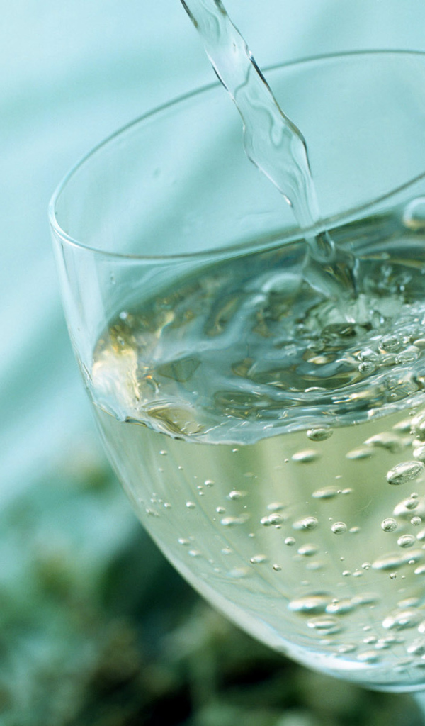 Игристое вино