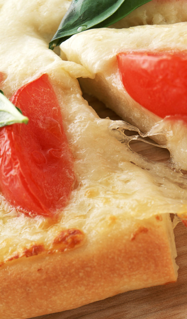 Плавленный сыр Пицца