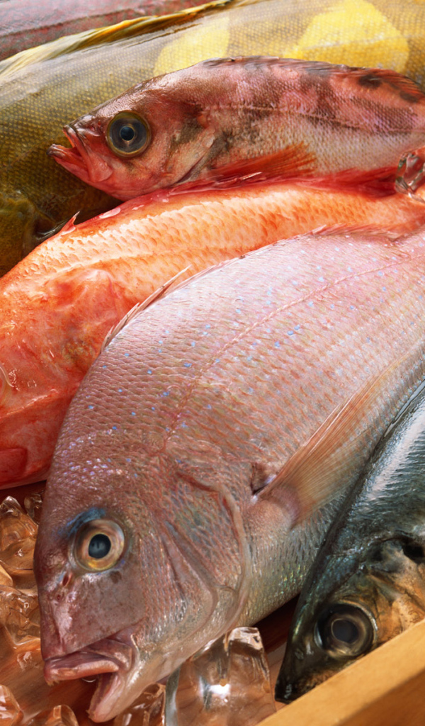 Замороженная рыба