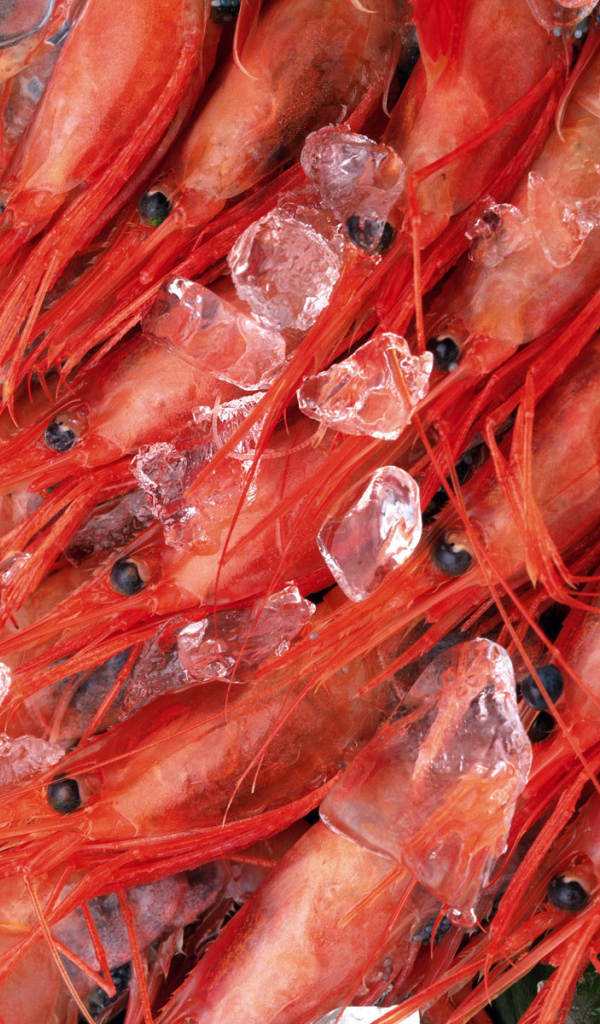 Замороженные креветки