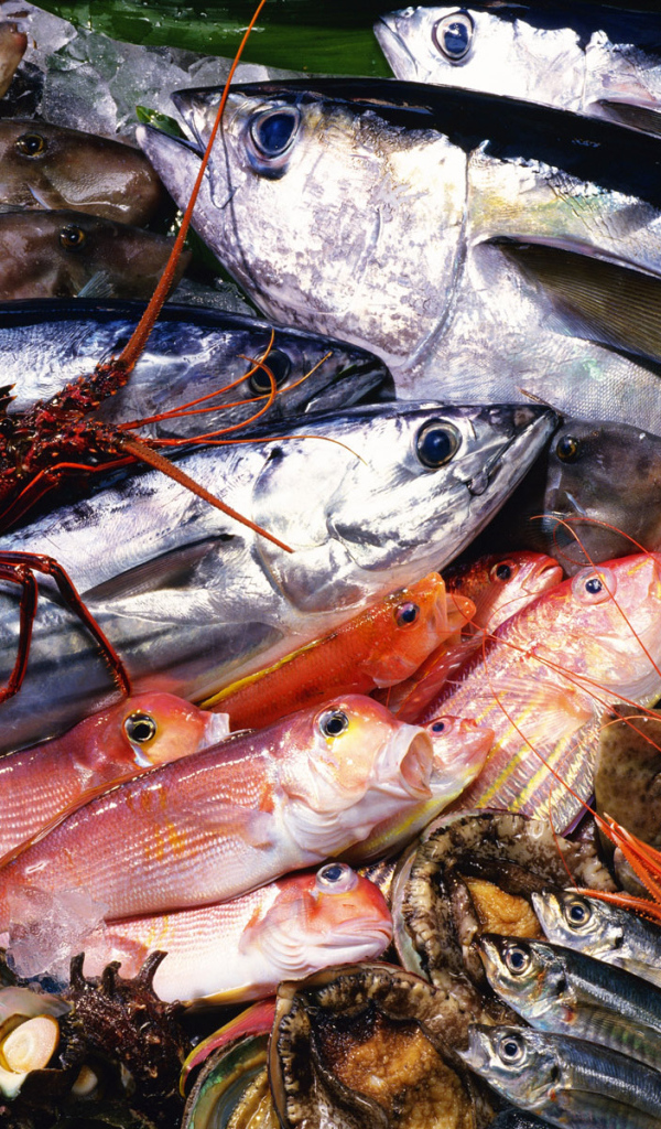 Морепродукты