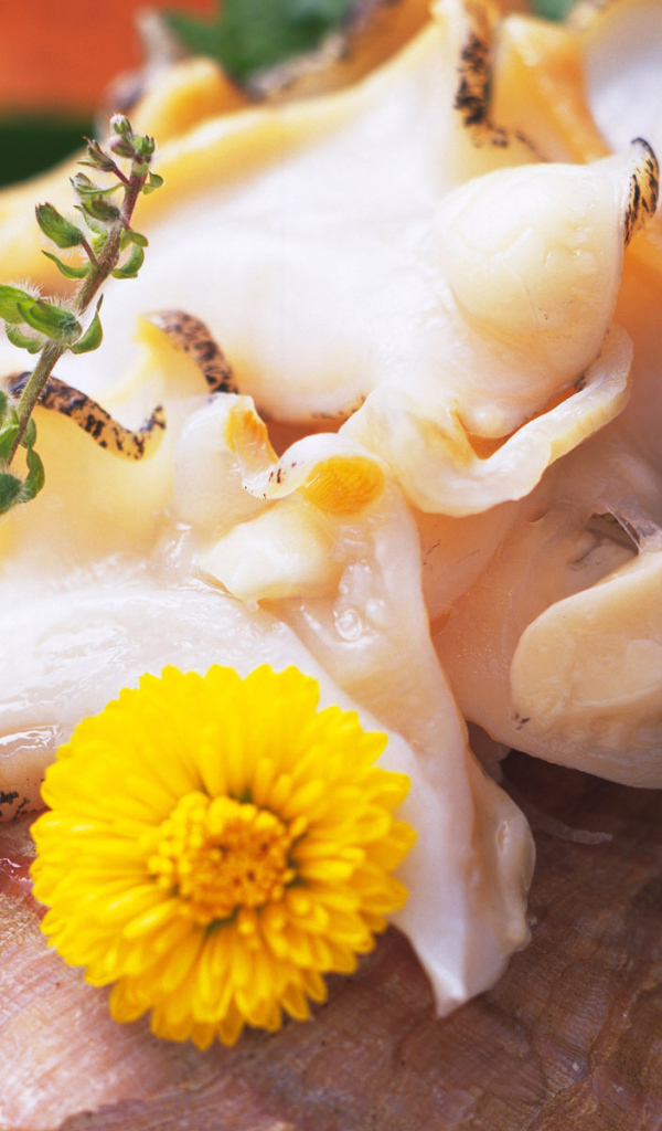 вкусный кальмар