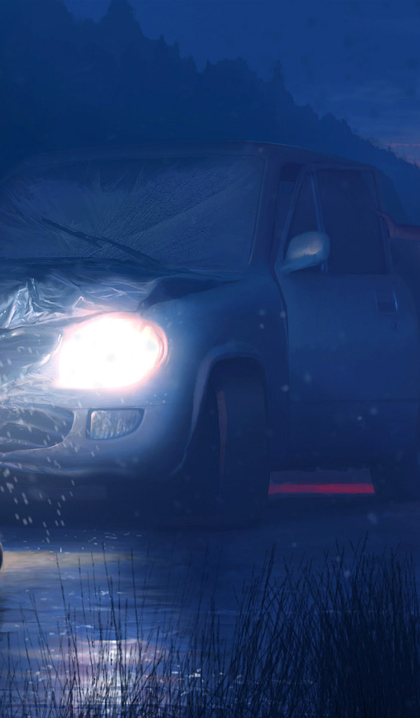 Необычная встреча