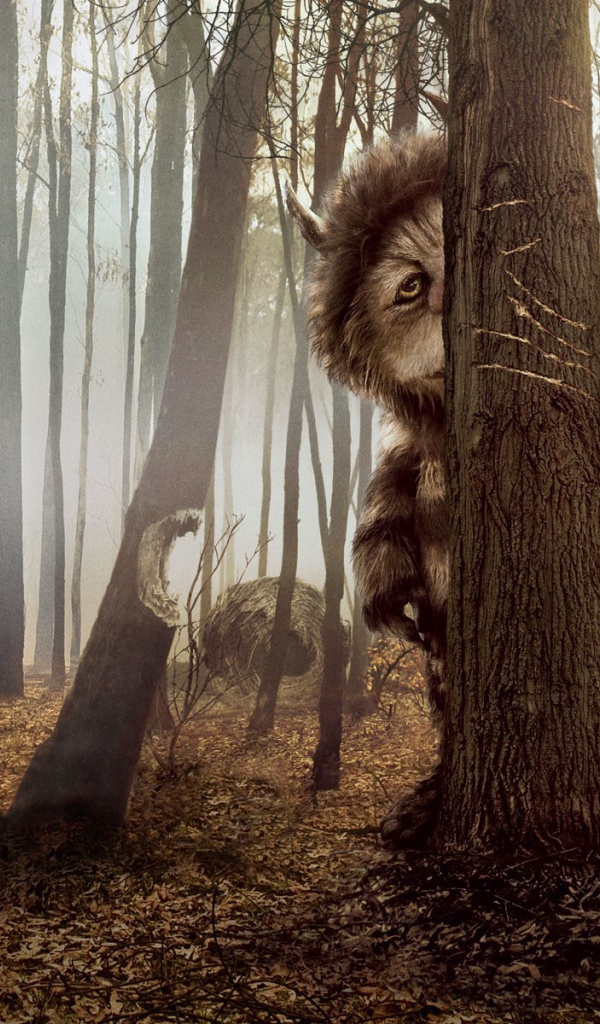 КотоПёс кэжуал