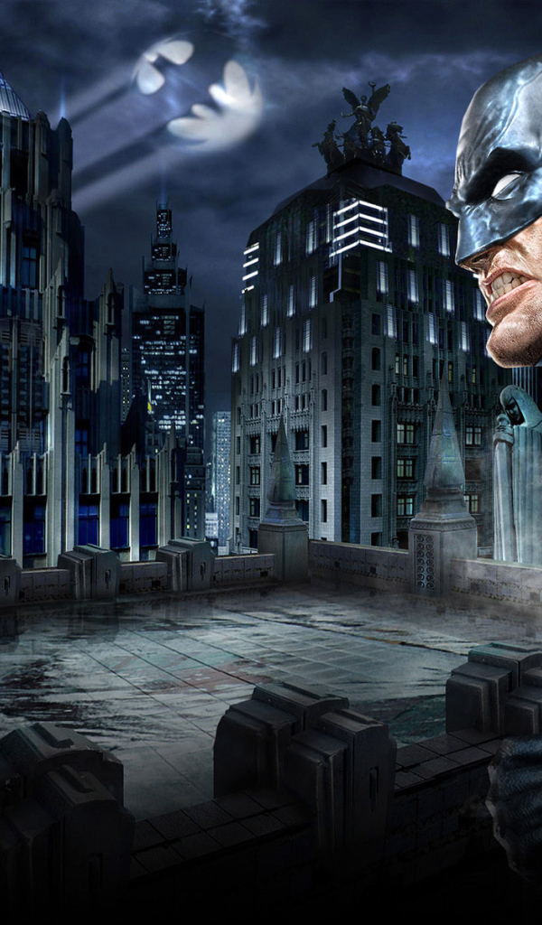 DC Universe Бэтмен